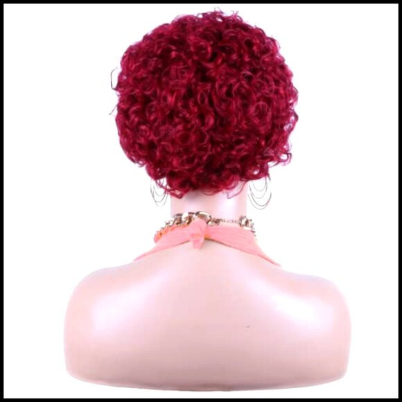 Short Curly Lace Front Wig Human Hair Pixie Cut Pre Plucked Glueless